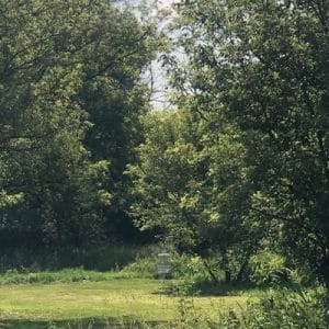 Willow Park DGC Discs Golf