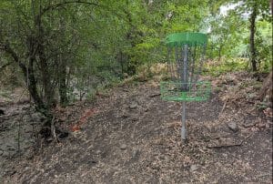 Can you find the hidden black disc in plain site?