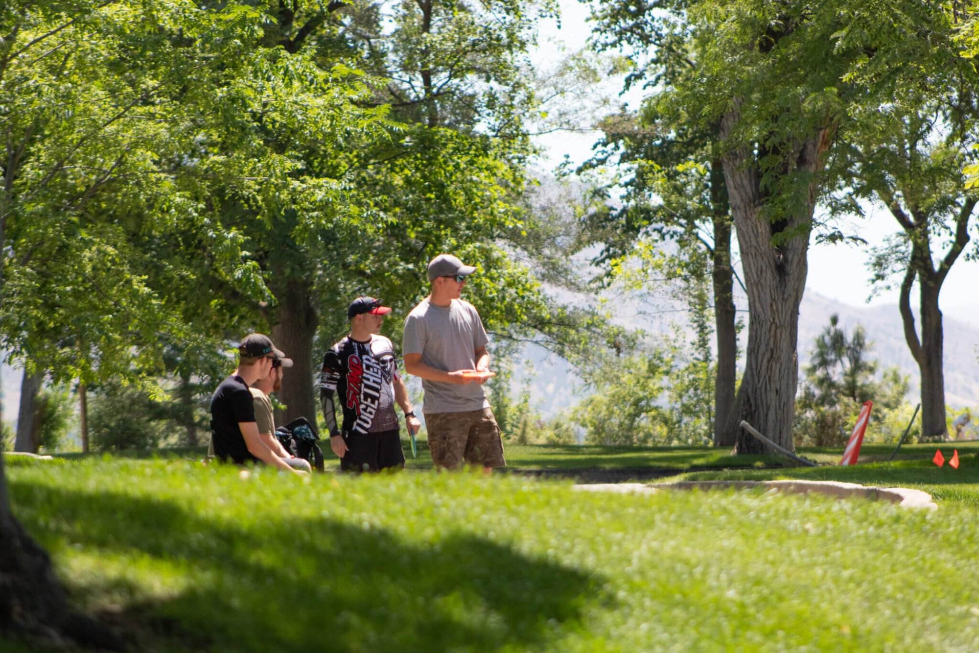 Decoding Disc Golf Flight Numbers A Player's Guide