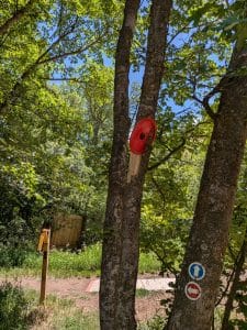 PXL 20260703 192423193.MP The Beacon Adhesive Disc Golf Tracker (8/10)